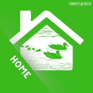 Creativity in Homeschooling